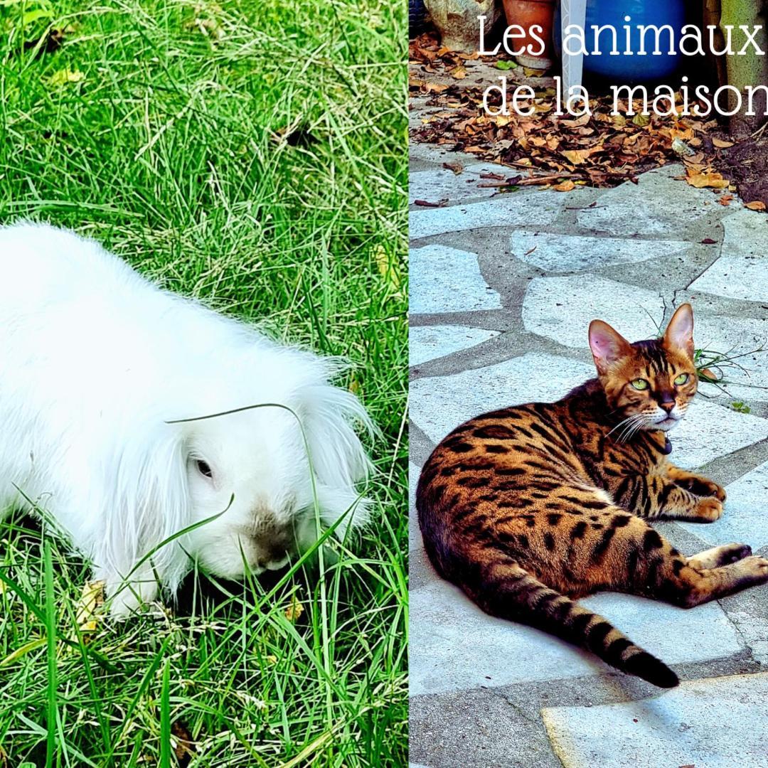 La Campagne A Paris Hotel Saint-Cloud Luaran gambar